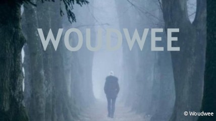 Maldegemse babbel | Hinde de Metsenaere