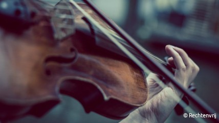 Concert 'Escapades Viennoises' | Vestigio Quartet'