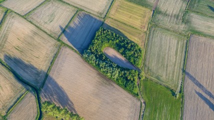 Het middeleeuws milleneum. Een kijk vanuit de Vlaamse bodem