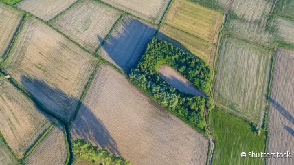 Het Middeleeuwse millennium. Een kijk vanuit de Vlaamse Bodem | prof. Wim de Clercq